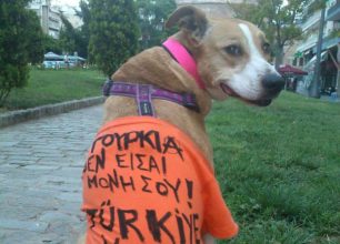 Ο Θεσσαλονικιός σκύλος αλληλέγγυος προς τους Τούρκους διαδηλωτές